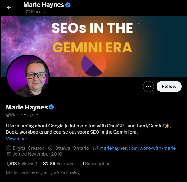Marie Haynes SEO Influencer